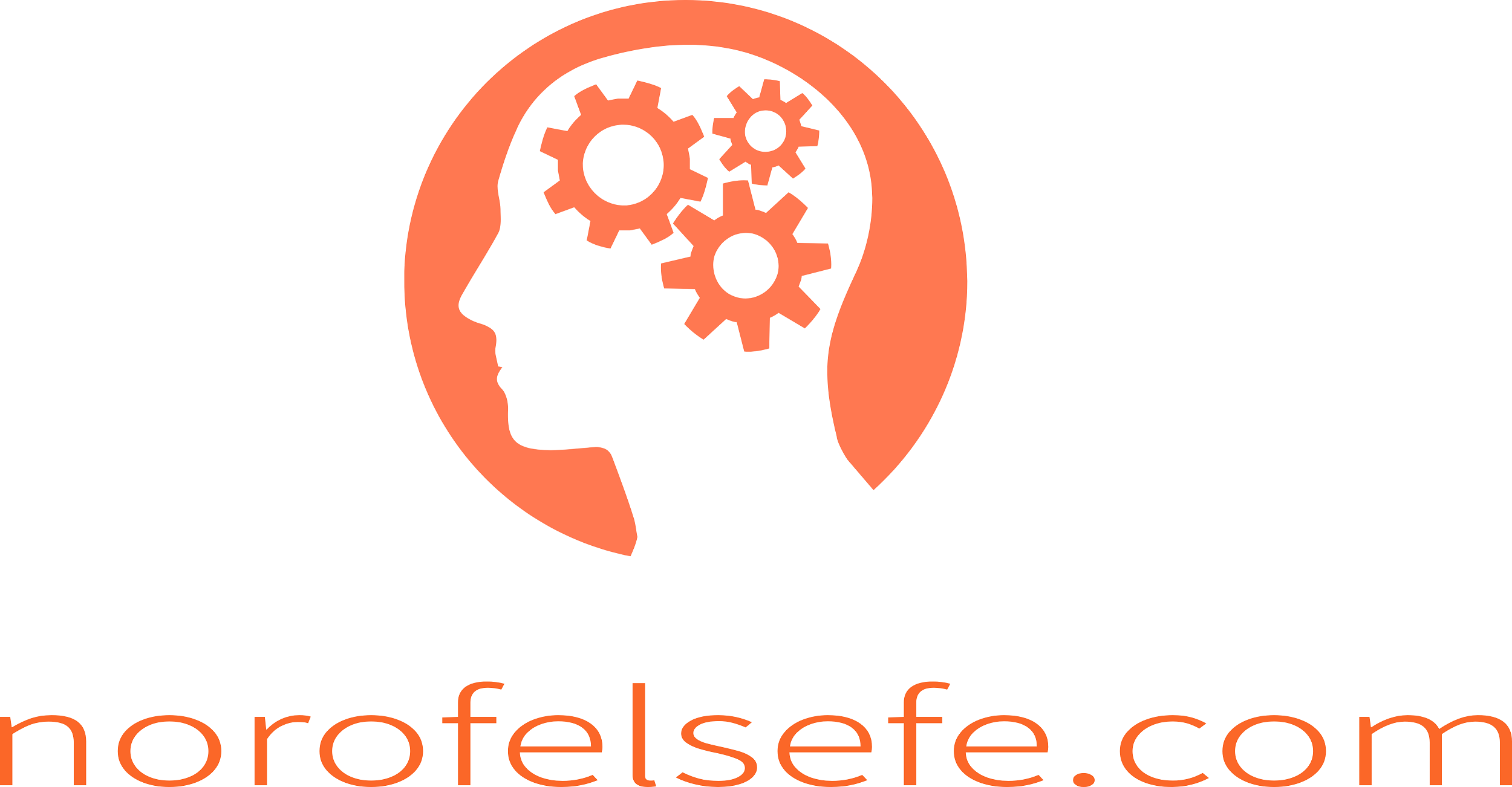 norofelsefe.com